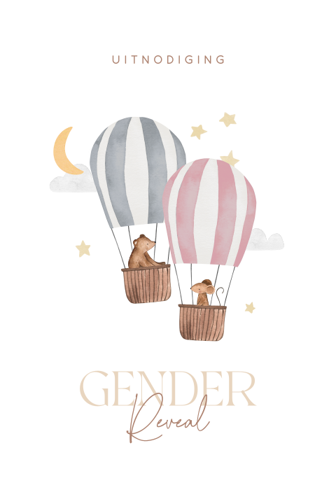 Uitnodiging gender reveal met ballonnen en diertjes