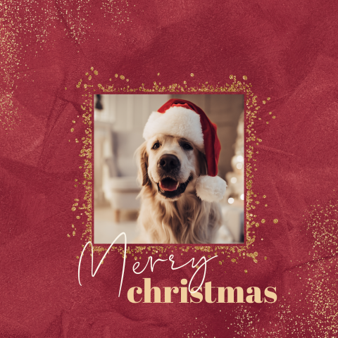 Velvet look kerstkaart met eigen foto