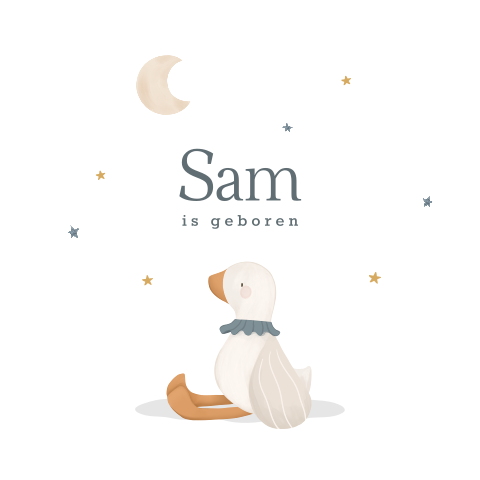 Raamsticker geboorte jongen met gansje