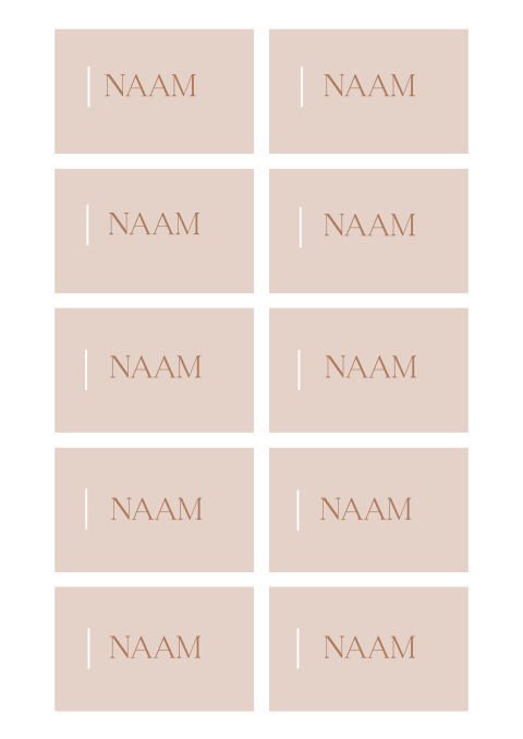 Bruiloft naamkaartjes in neutrale kleuren