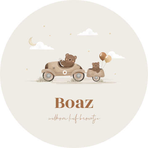 Raamsticker met twee beertjes in een auto