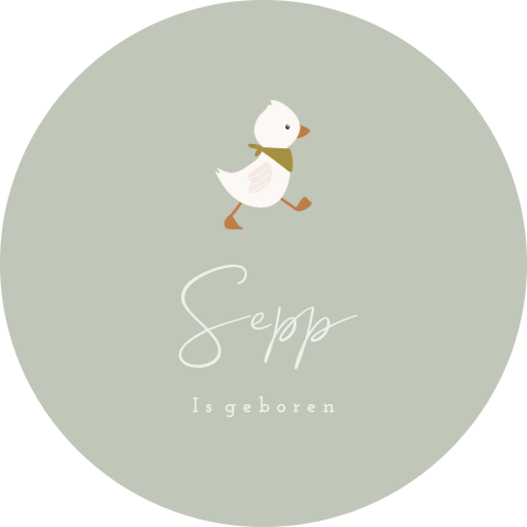Raamsticker met een eendje en mintgroene achtergrond