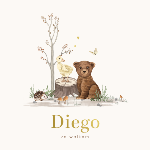 Lief geboortekaartje voor jongen met lieve diertjes en goudfolie