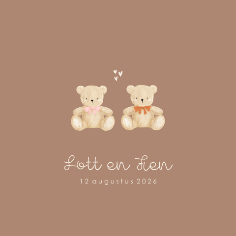 Tweeling geboortekaartje met teddybeertjes