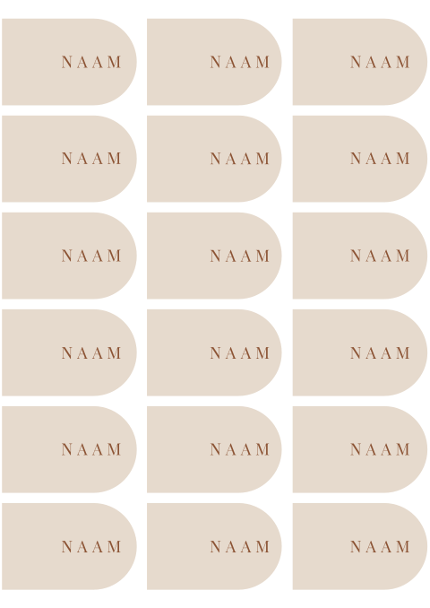 Stijlvolle beige naamkaartjes met ronde kant