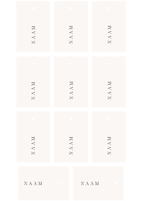 Naamkaartjes bruiloft met klassieke typografie