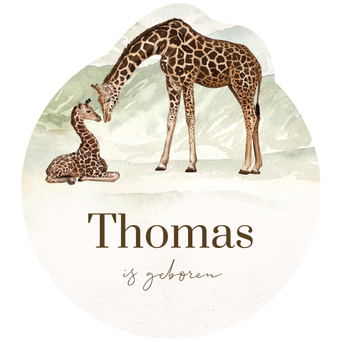 Avontuurlijk geboortebord tuin met giraffen