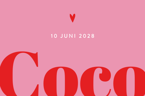 Vrolijk geboortekaartje meisje in colorblocking roze/rood