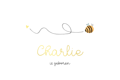 Vrolijk geboortekaartje met schattig bijtje