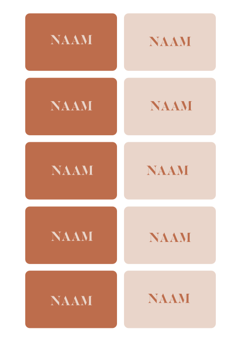 Stijlvolle naamkaartjes in terracotta trendkleur