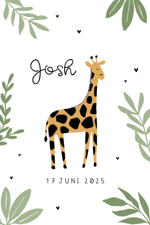 Vrolijk jungle geboortekaartje voor een jongen met een girafje