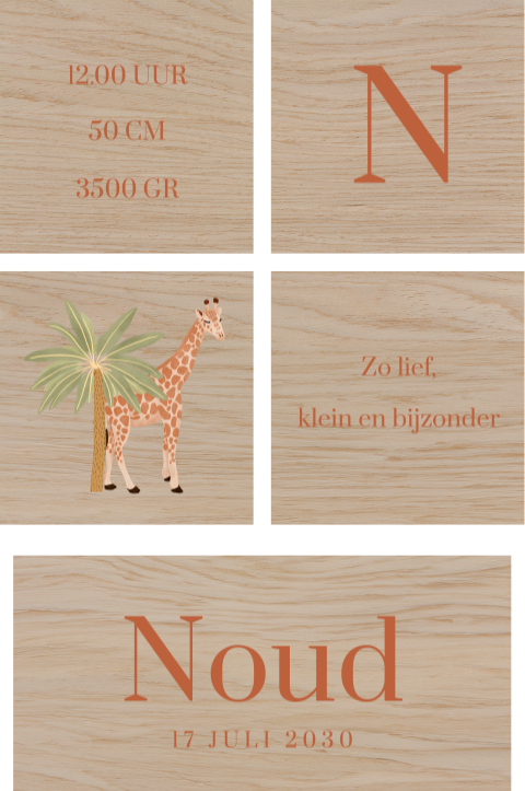 Houten blokken met giraffe en geboortegegevens