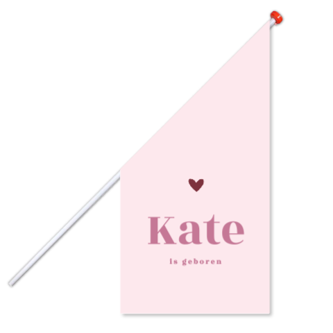 Geboortevlag meisje roze met hartje