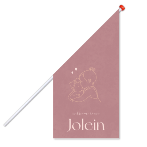 Geboortevlag roze met lijntekening van baby zusje