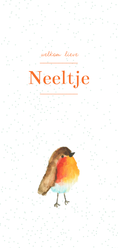 Zoet geboortekaartje met roodborstje