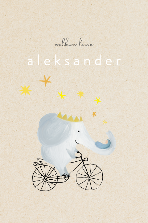 Lief geboortekaartje met olifant die het kindje komt brengen