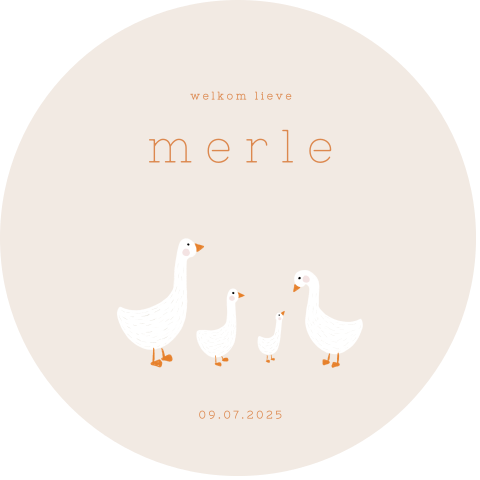 Ronde raamsticker met een familie gans