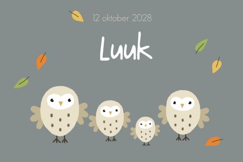 Geboortekaartje jongen vier uilen herfst tweede kindje