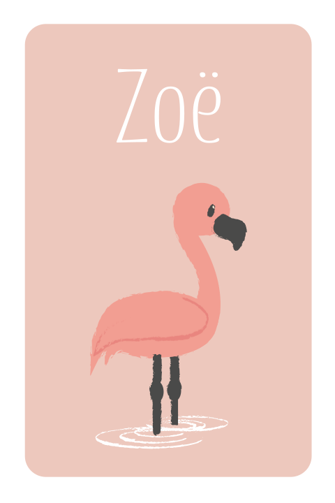 Getekend geboortekaartje meisje met flamingo