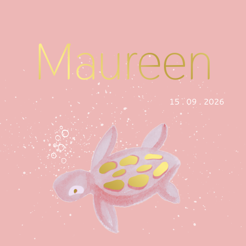 Lief geboortekaartje meisje met schildpadje