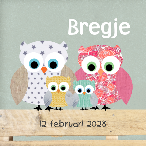 Vrolijk geboortekaartje met uiltjes