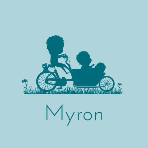 Babykaart jongen met bakfiets en 2 broertjes
