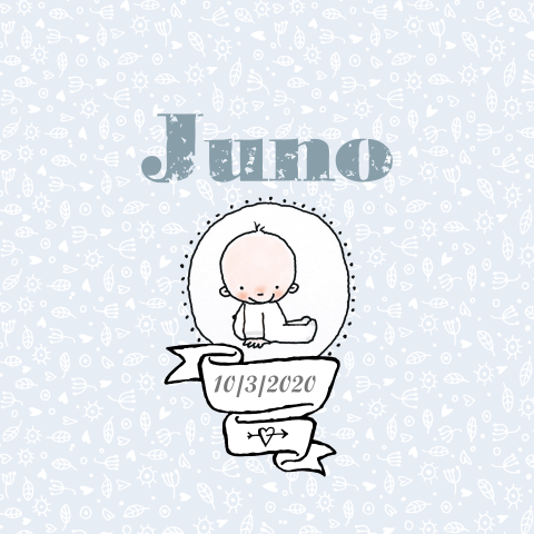 Lief lente geboortekaartje voor jongen met illustratie baby