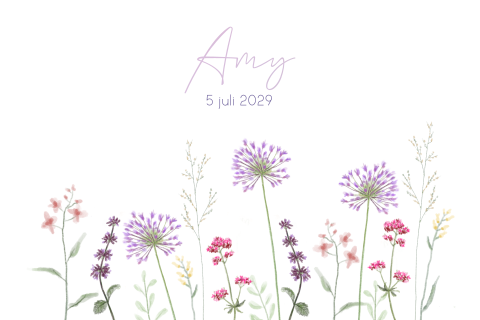 Geboortekaartje meisje met bloemen in paars en roze