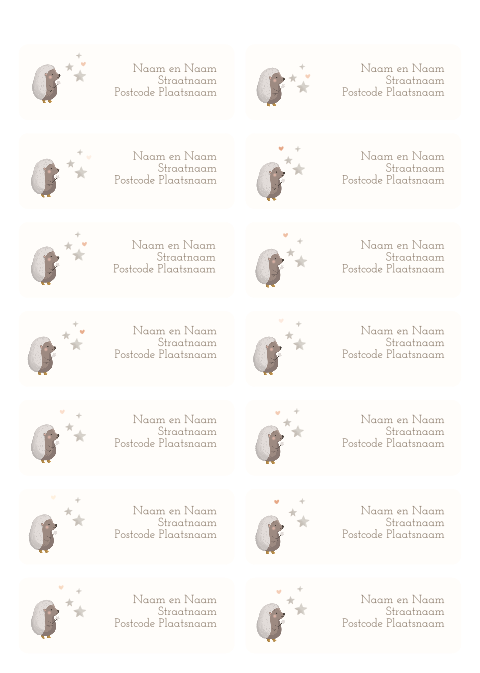 Adresstickers passend bij geboortekaartje egeltje met een toverstaf