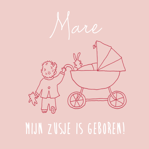 Geboortekaartje 2e kindje meisje en zus met kinderwagen