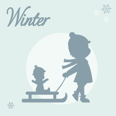 Geboortekaartje broers sleetje slee silhouet winter