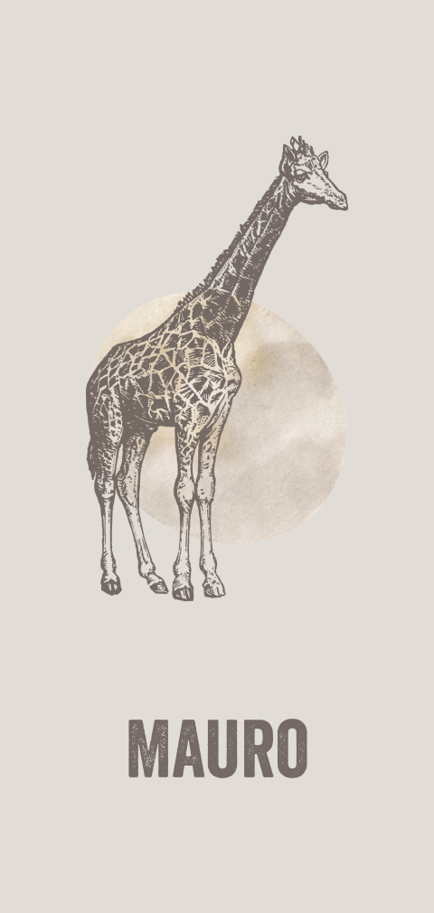 Hip babykaartje jongen met giraffe