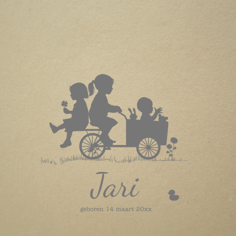 Bakfiets geboortekaartje 3 kindje zusjes met broertje