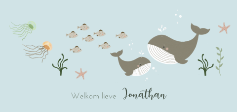 Geboortekaartje met walvissen jongen
