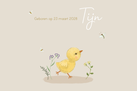 Geboortekaartje jongen kuiken lente bijen libelle bloemen