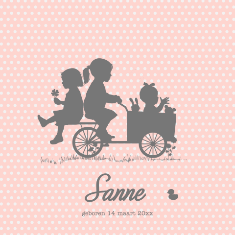 Bakfiets geboortekaartje 3 kindje zusjes met baby zusje