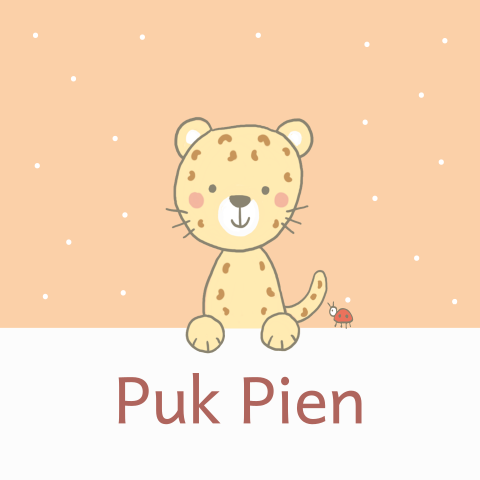 Luipaard geboortekaartje meisje lief met lieveheersbeestje