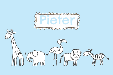 Zoet geboortekaartje met dieren op rij