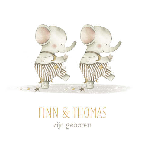 Raamsticker tweeling met olifantjes