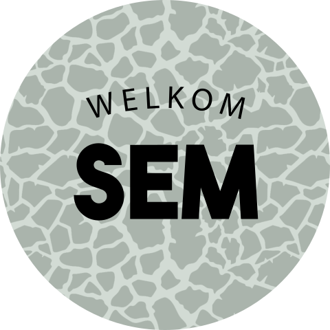 Raamsticker met giraf patroon voor een jongen