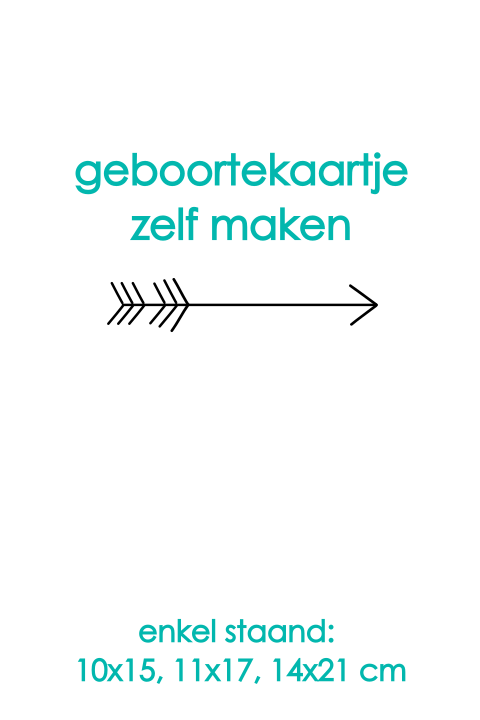 Enkel staand geboortekaartje