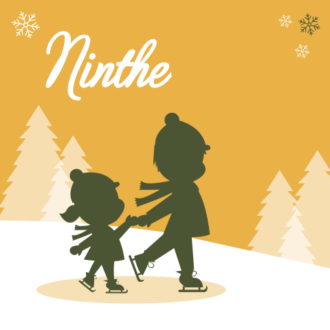 Geboortekaartje meisje silhouet schaatsen grote broer zusje