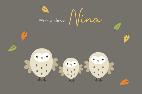 Geboortekaartje voor een meisje met 3 uilen herfst