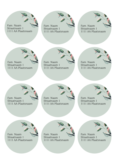 Adresstickers passend bij geboortekaartje meisje met bloem