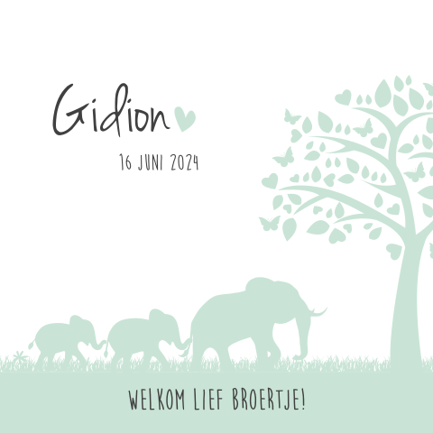 Lief geboortekaartje jongen met familie olifant mintgroen