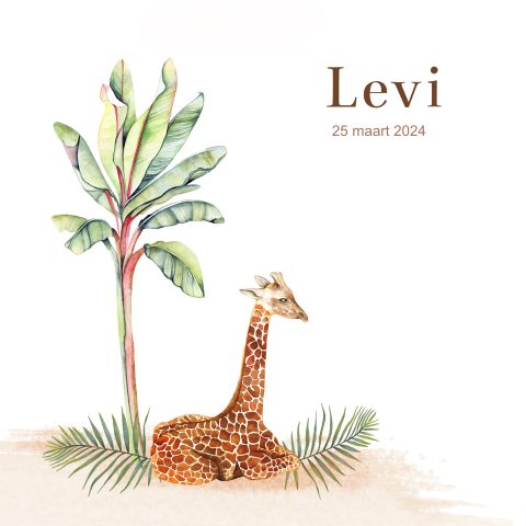 Lief geboortekaartje jongen met giraffe onder boom