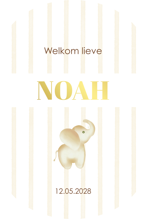 Lief ovaal geboortekaartje olifantje stans