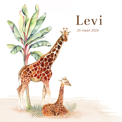 Geboortekaartje voor een jongen met getekende giraffe