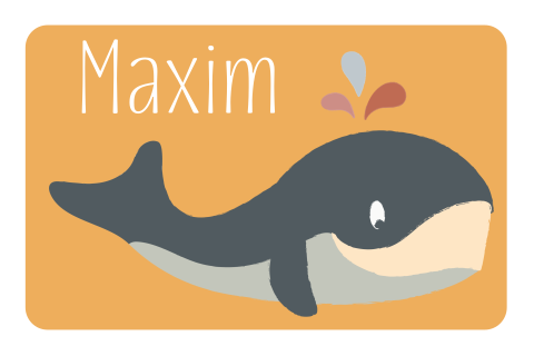 Geboortekaartje jongen met walvis