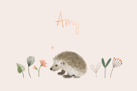 Geboortekaartje meisje egel